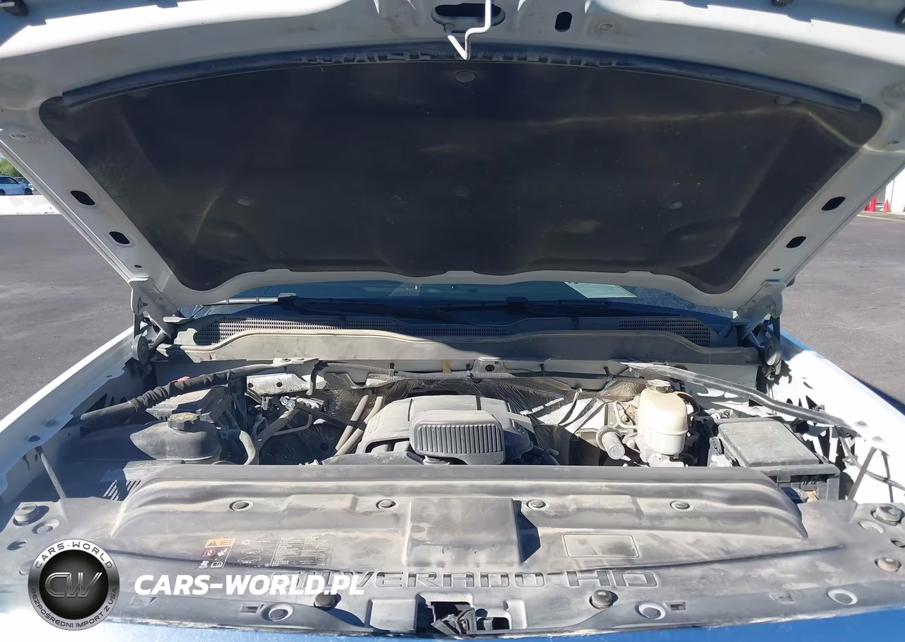 2018 Chevrolet Silverado 2500Hd Wt VIN:1GC1KUEGXJF134279 - 10