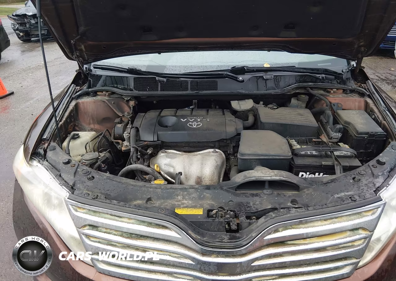 2009 Toyota Venza VIN:4T3ZE11A59U012367 - 10