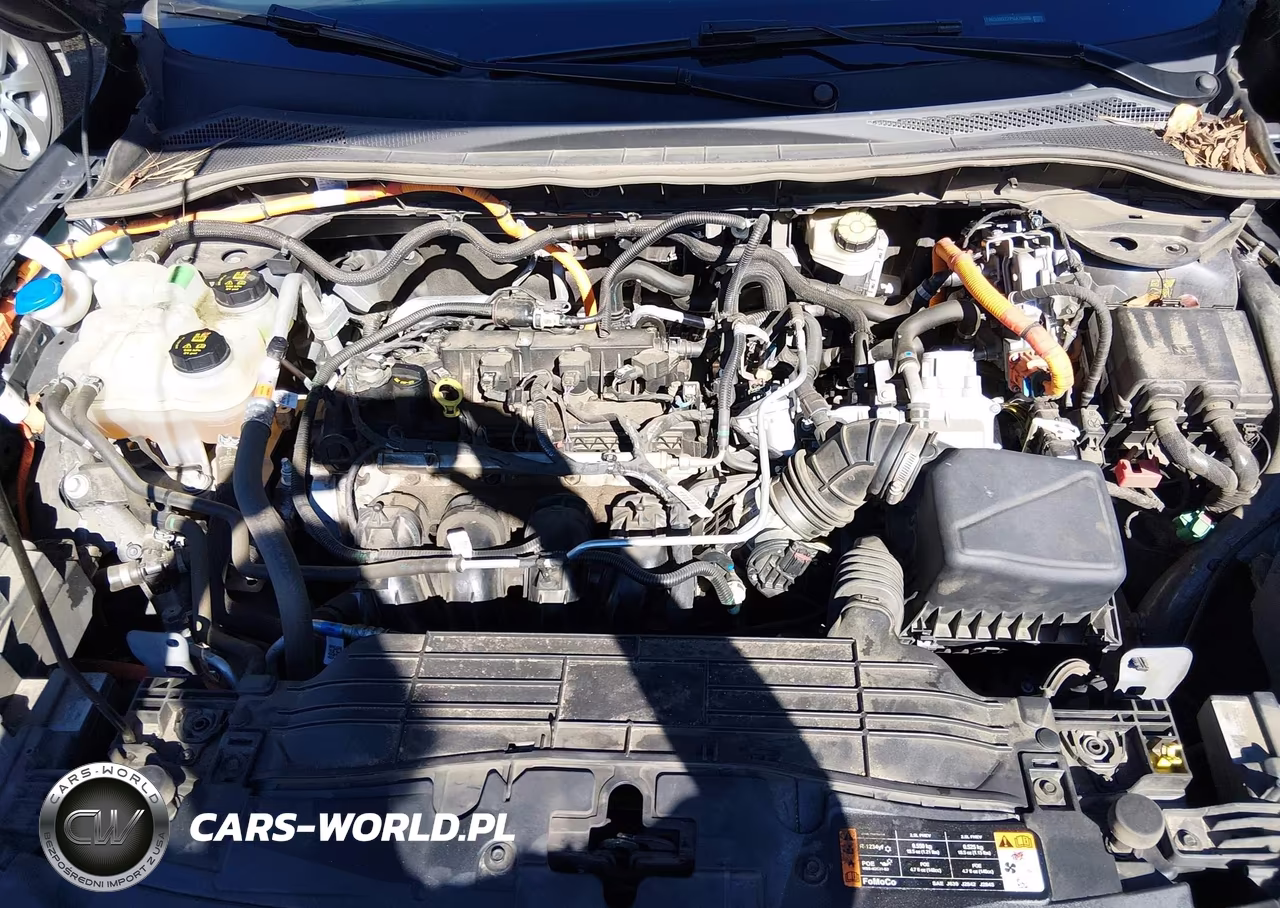 2023 Ford Escape Active VIN:1FMCU0GZ7PUA79560 - 10