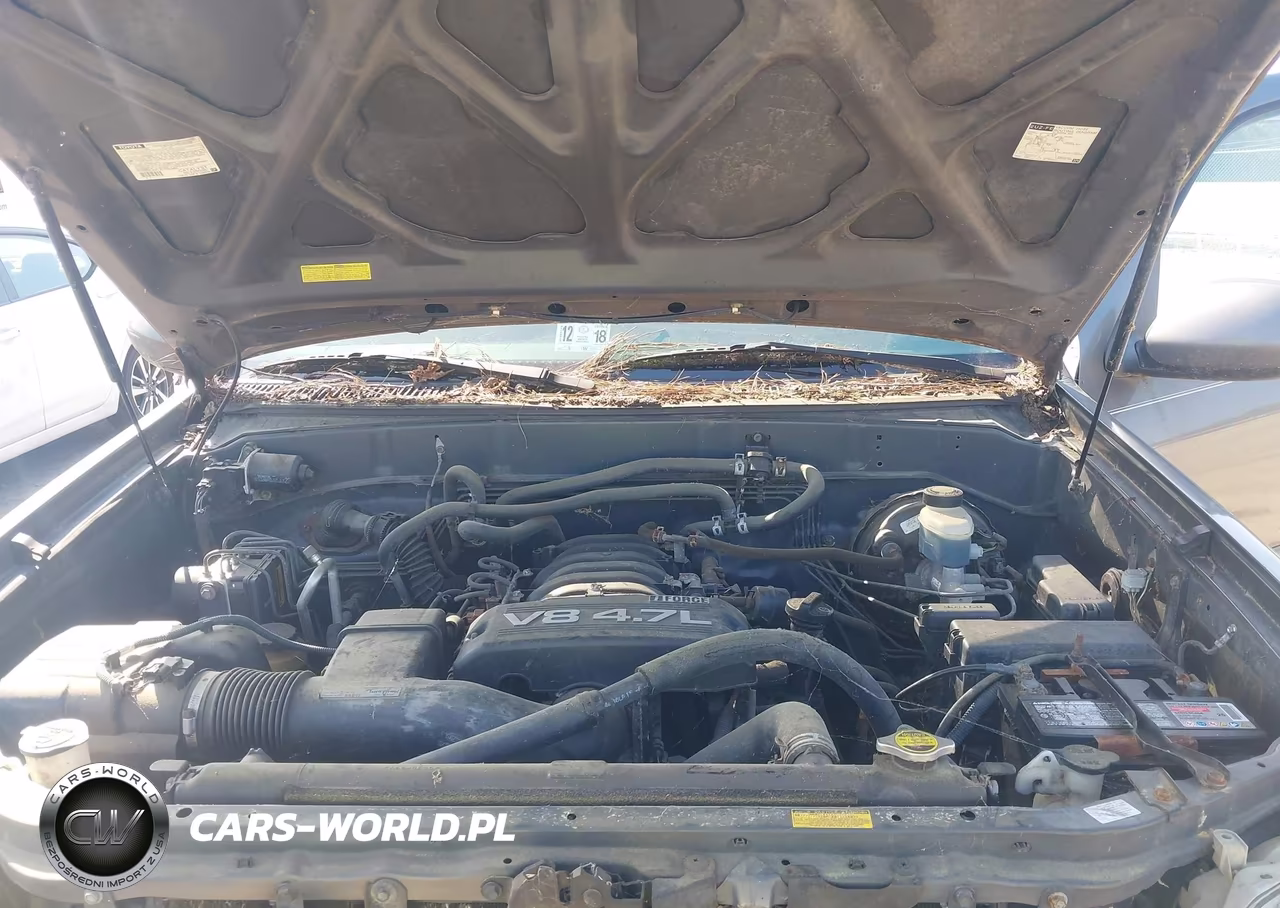 2006 Toyota Sequoia Sr5 V8 VIN:5TDBT44A66S260290 - 10