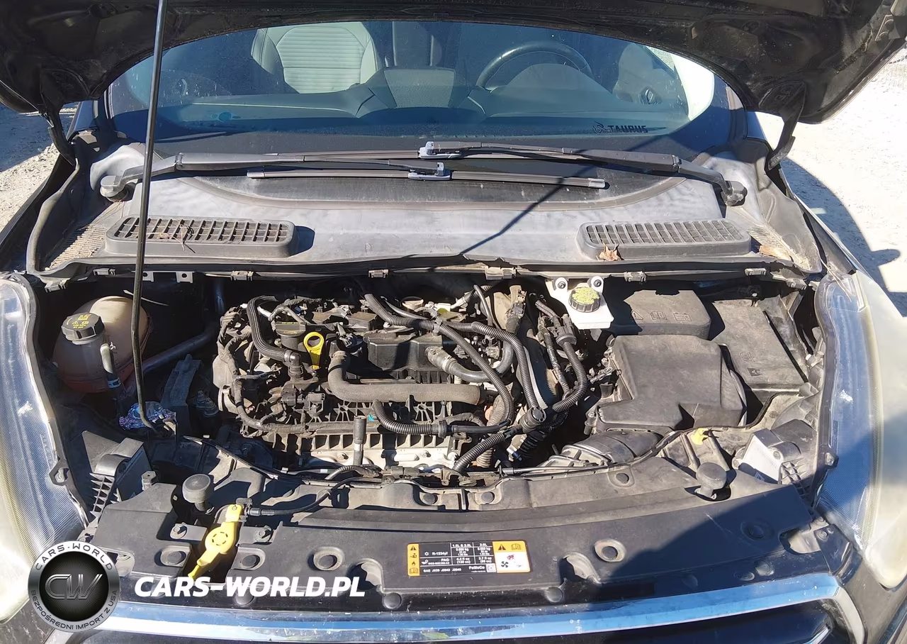2017 Ford Escape Se VIN:1FMCU0GD6HUA02796 - 10