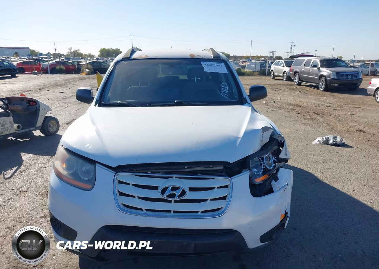 2010 Hyundai Santa Fe Gls VIN:5NMSG3AB8AH335028 - 12