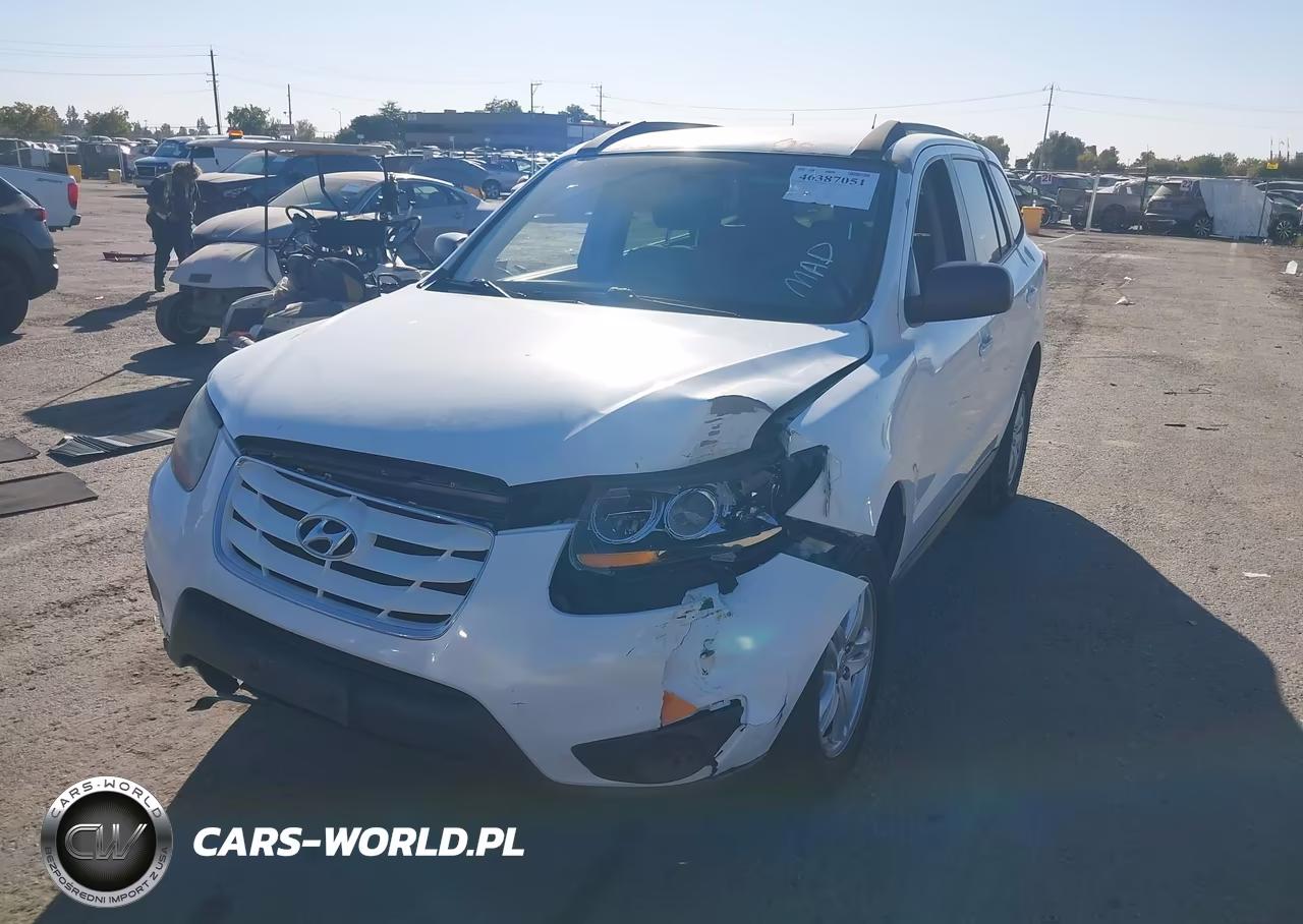 2010 Hyundai Santa Fe Gls VIN:5NMSG3AB8AH335028 - 2