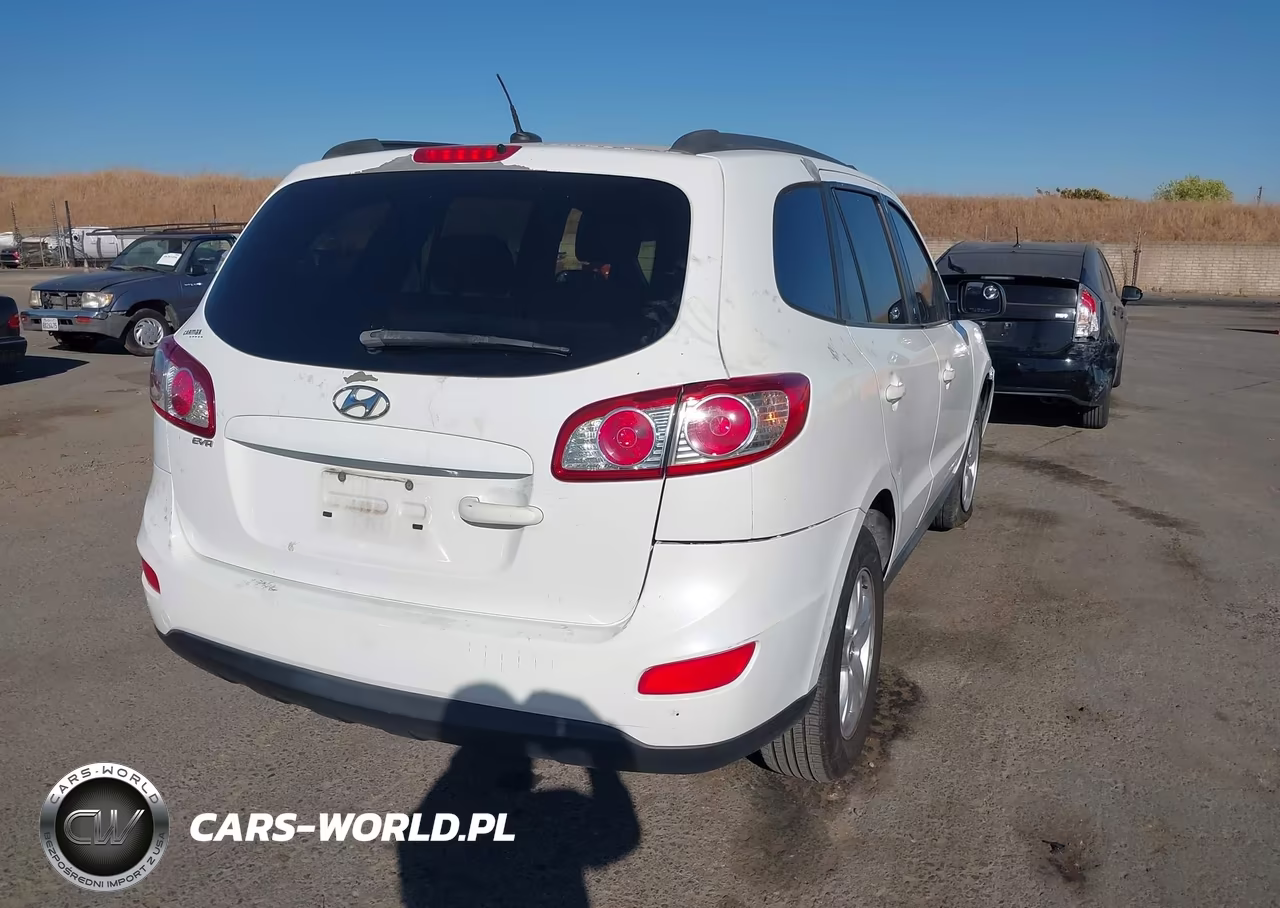 2010 Hyundai Santa Fe Gls VIN:5NMSG3AB8AH335028 - 4