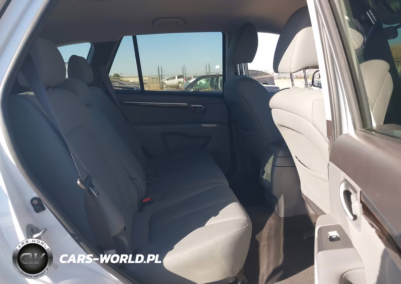 2010 Hyundai Santa Fe Gls VIN:5NMSG3AB8AH335028 - 8