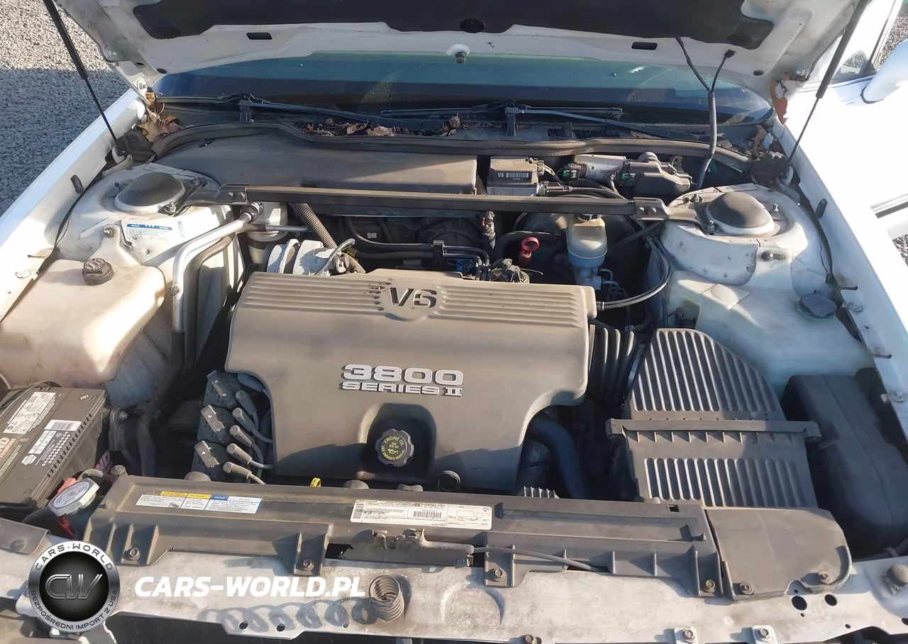 1999 Buick Lesabre Custom Cmi VIN:1G4HP52KXXH404635 - 10