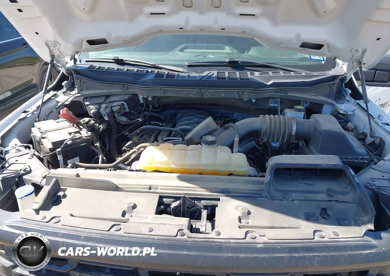 2024 Ford F-150 Xl VIN:1FTEX1K5XRKE28465 - 5