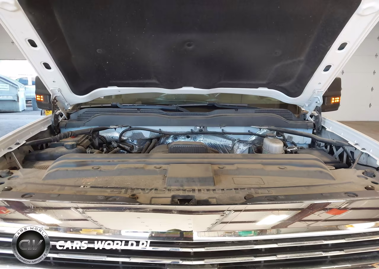 2017 Chevrolet Silverado 3500Hd Wt VIN:1GC4KYCG3HF188086 - 10