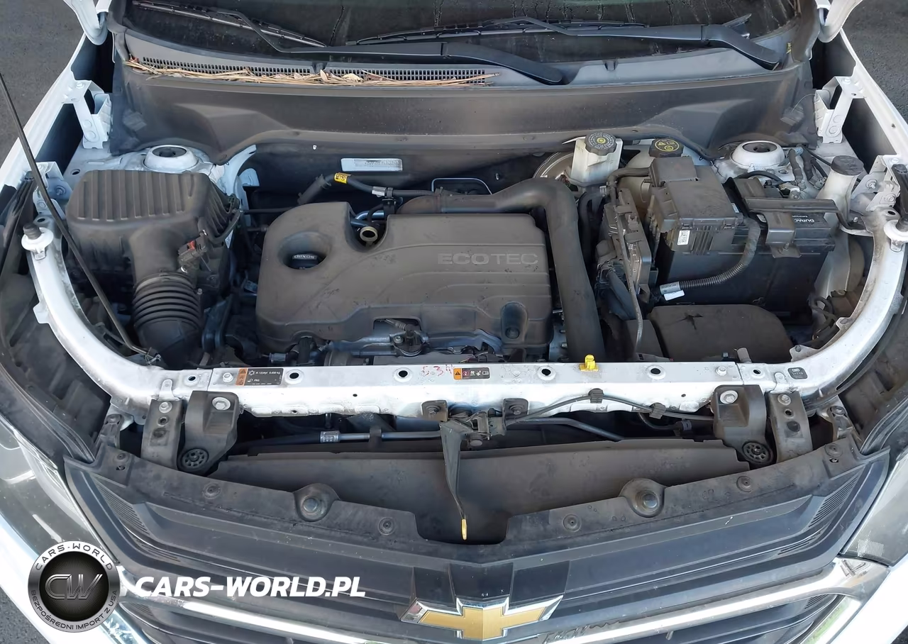 2018 Chevrolet Equinox Ls VIN:2GNAXREV5J6285805 - 10