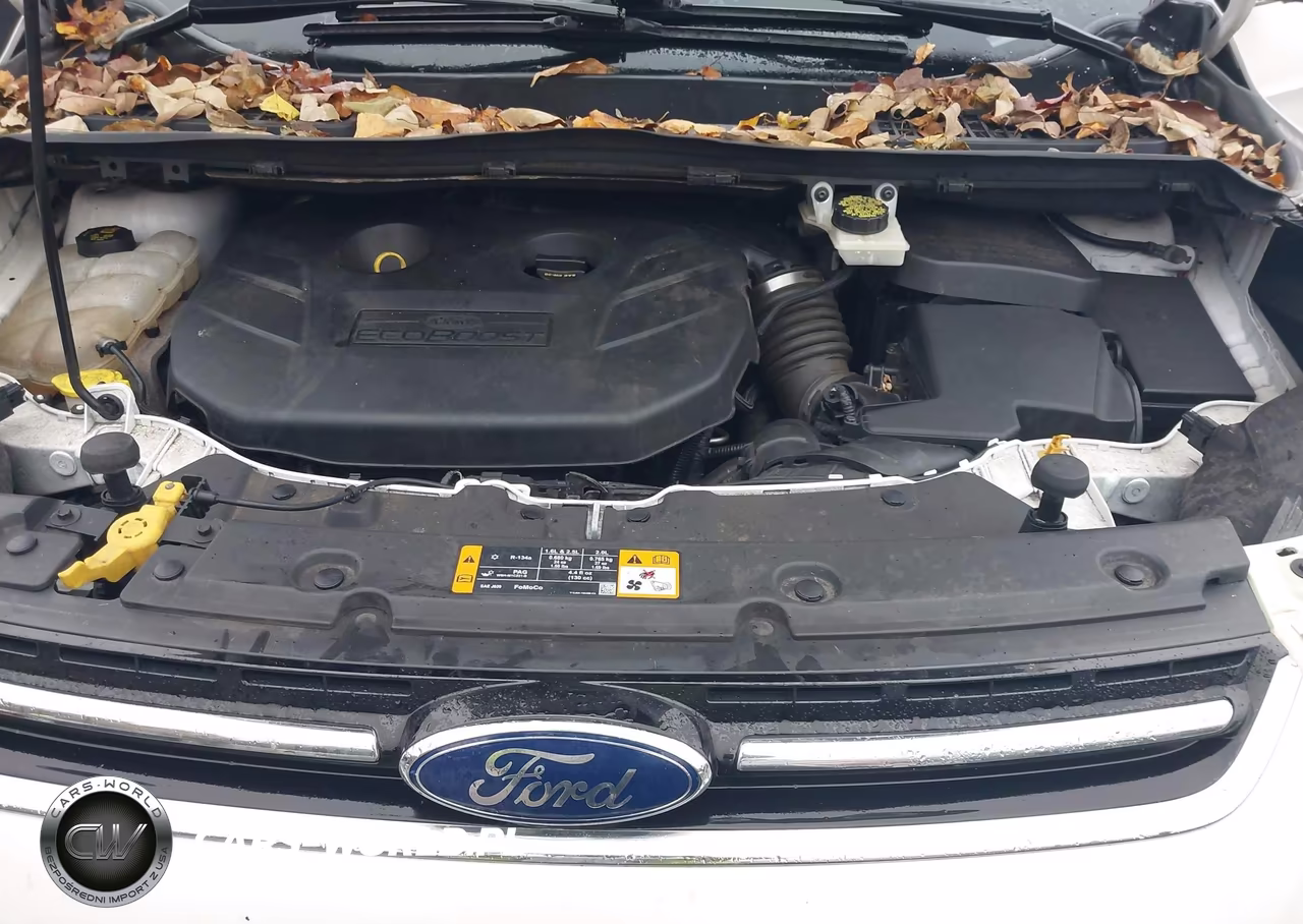 2014 Ford Escape Titanium VIN:1FMCU0J98EUA34309 - 10