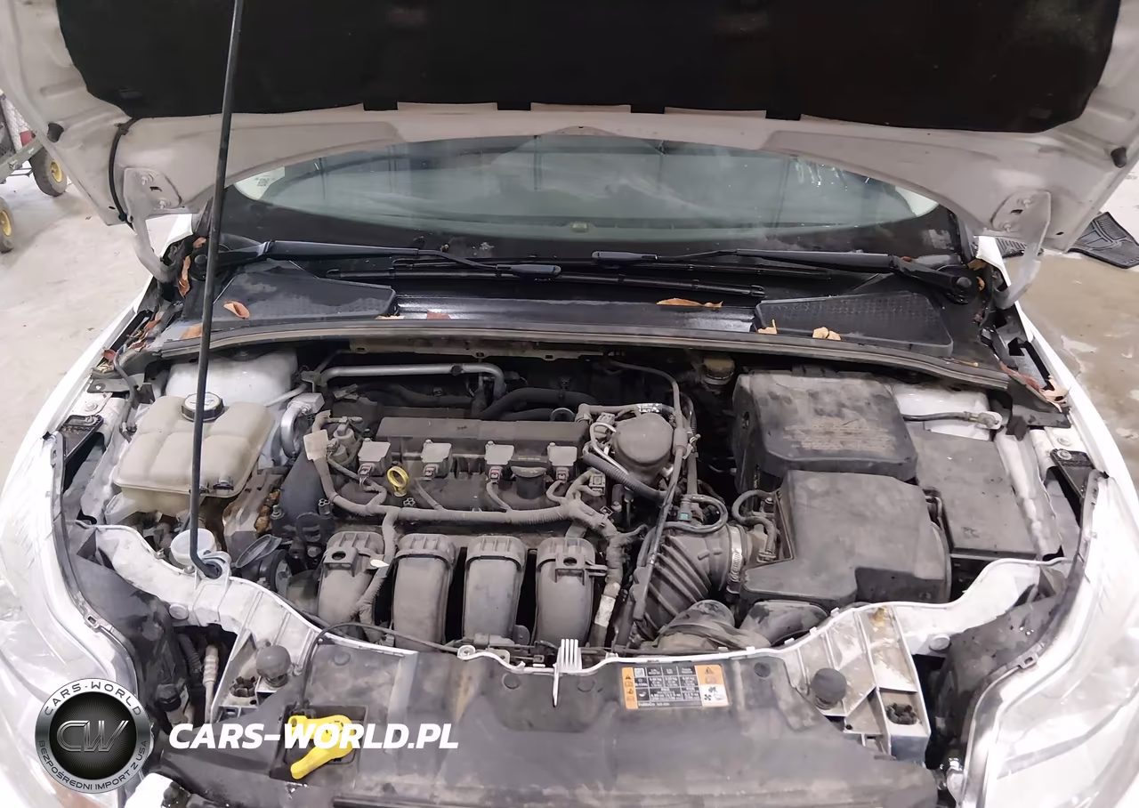 2014 Ford Focus Se VIN:1FADP3F25EL294000 - 10