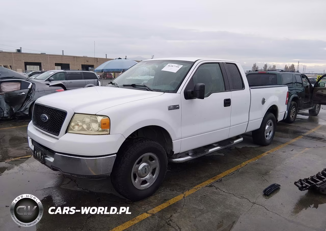 2005 Ford F-150 Stx-Xl-Xlt VIN:1FTRX12W95NA04827 - 2