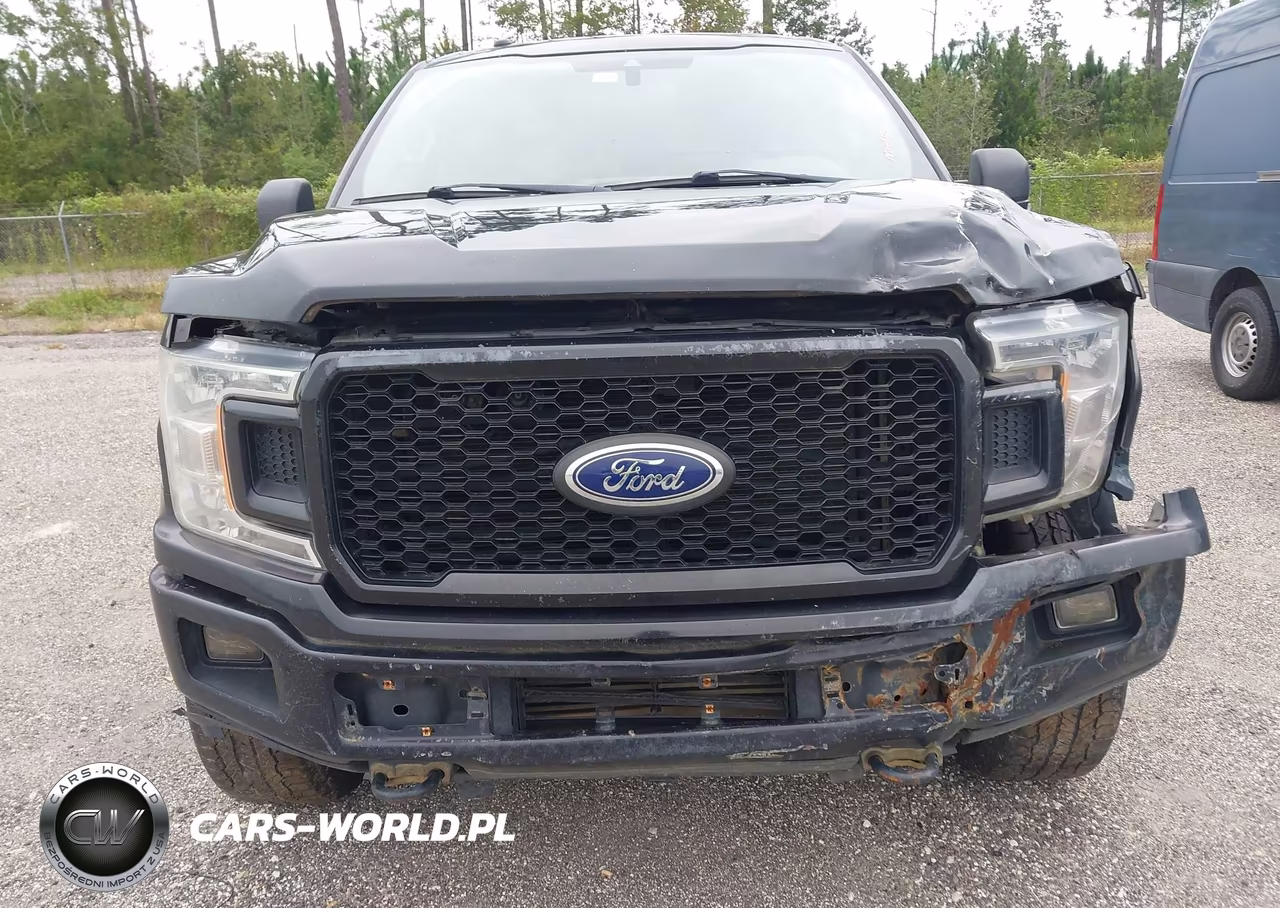 2019 Ford F-150 Xl VIN:1FTEW1EP8KFB59252 - 12