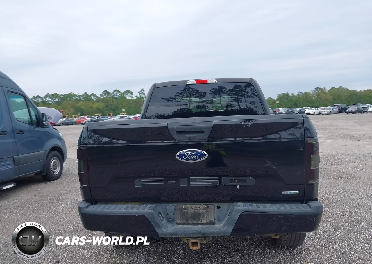 2019 Ford F-150 Xl VIN:1FTEW1EP8KFB59252 - 16