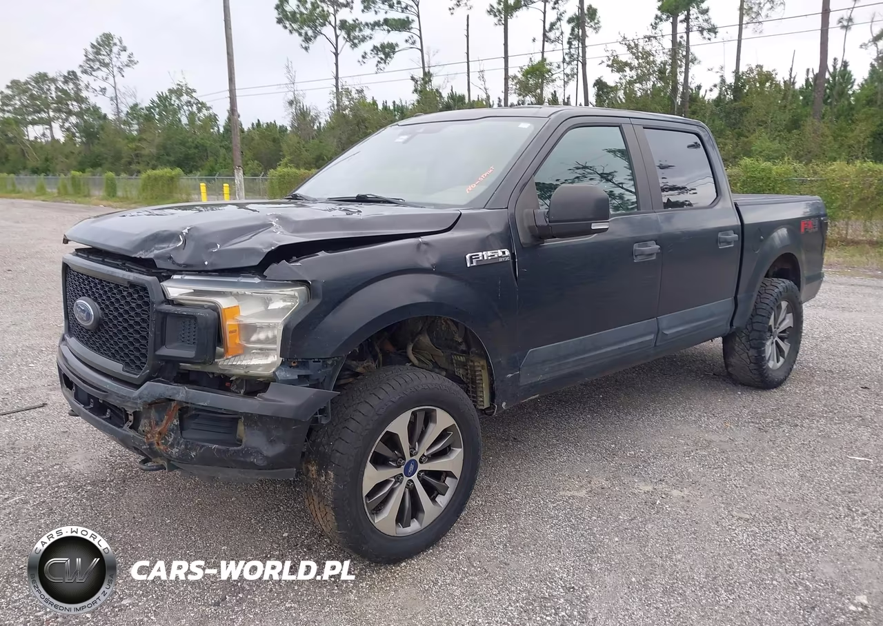 2019 Ford F-150 Xl VIN:1FTEW1EP8KFB59252 - 2