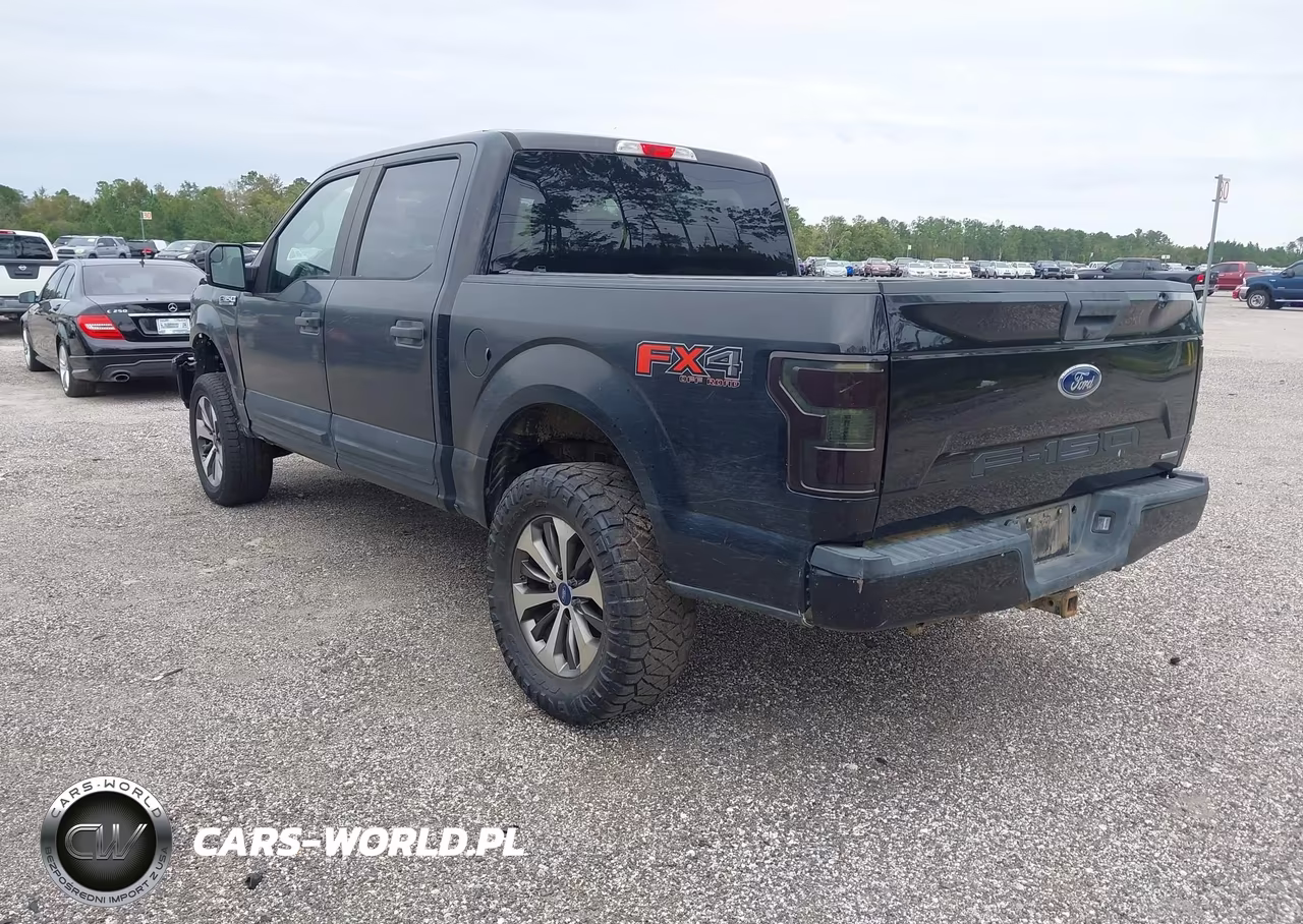 2019 Ford F-150 Xl VIN:1FTEW1EP8KFB59252 - 3