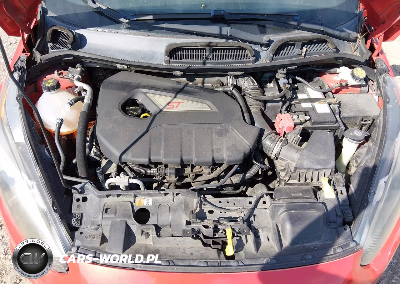 2014 Ford Fiesta St VIN:3FADP4GX7EM145215 - 10