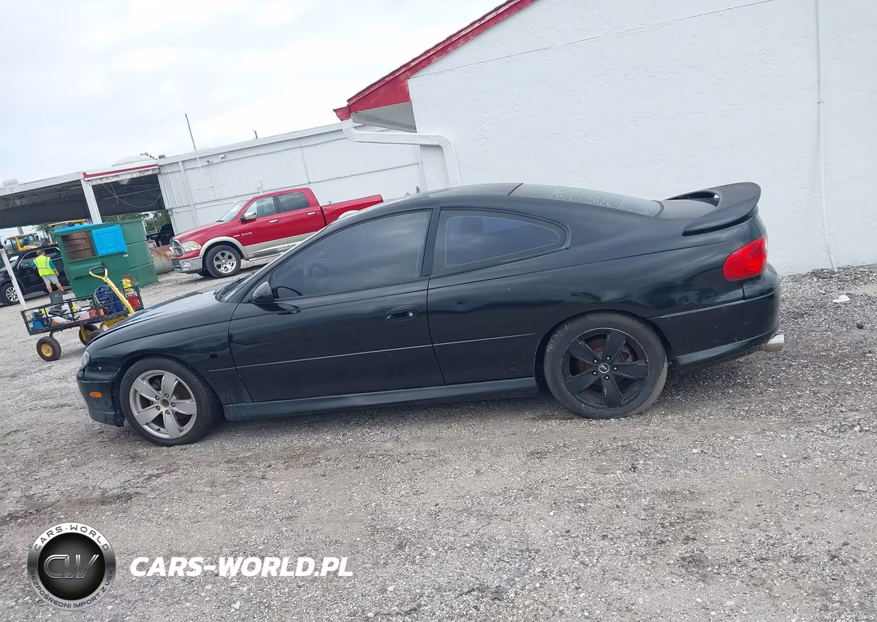 2004 Pontiac Gto VIN:6G2VX12G44L178099 - 14