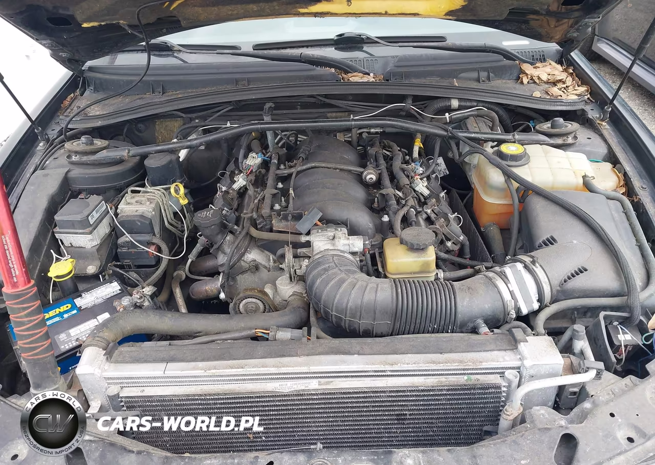2004 Pontiac Gto VIN:6G2VX12G44L178099 - 6