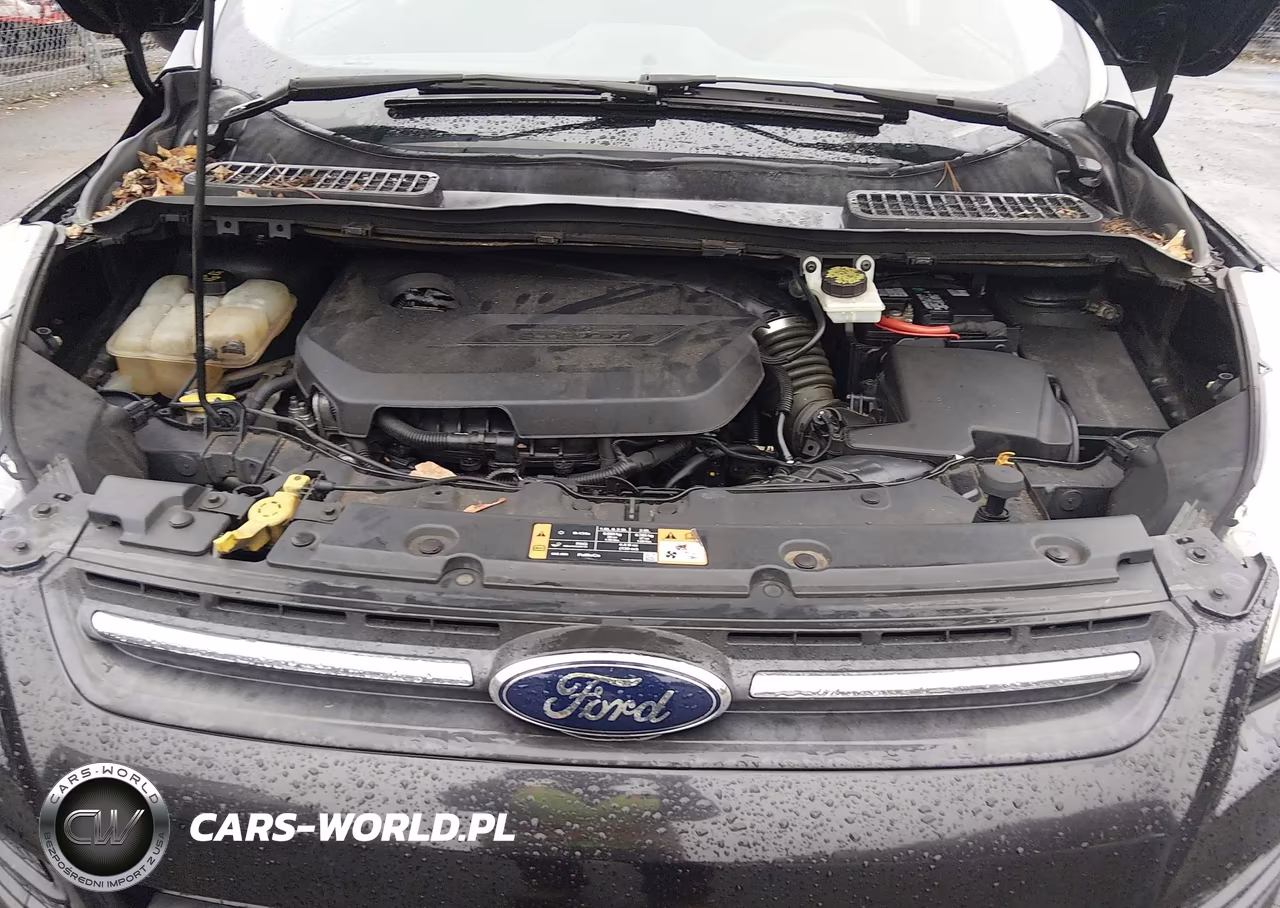 2015 Ford Escape Se VIN:1FMCU9GX5FUA21397 - 10