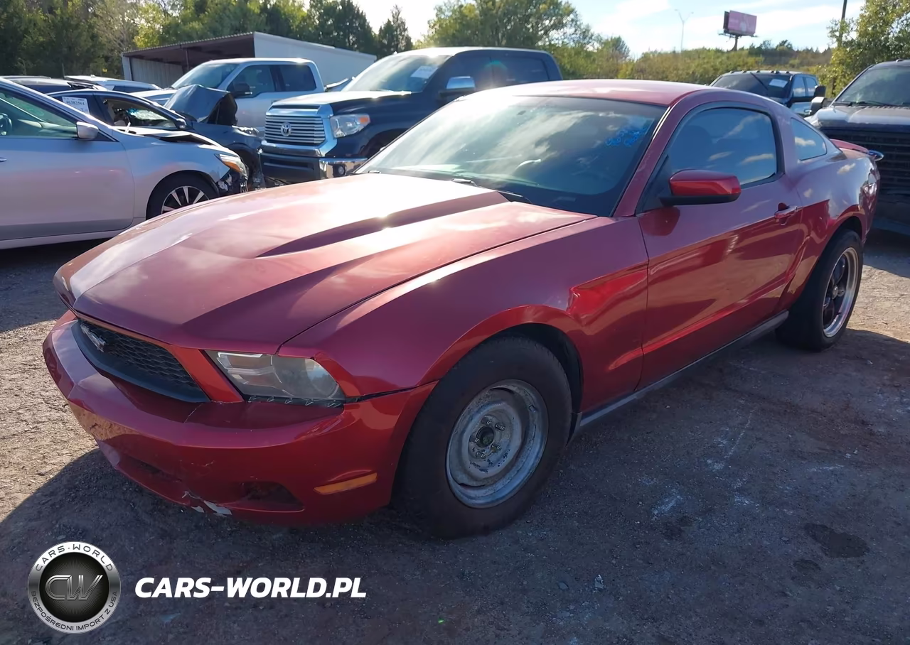 2010 Ford Mustang V6-V6 Premium VIN:1ZVBP8AN7A5146684 - 2