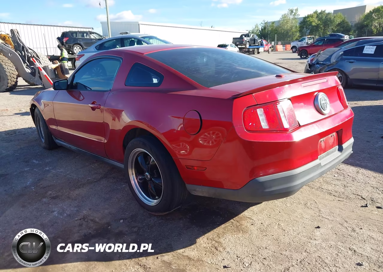 2010 Ford Mustang V6-V6 Premium VIN:1ZVBP8AN7A5146684 - 3