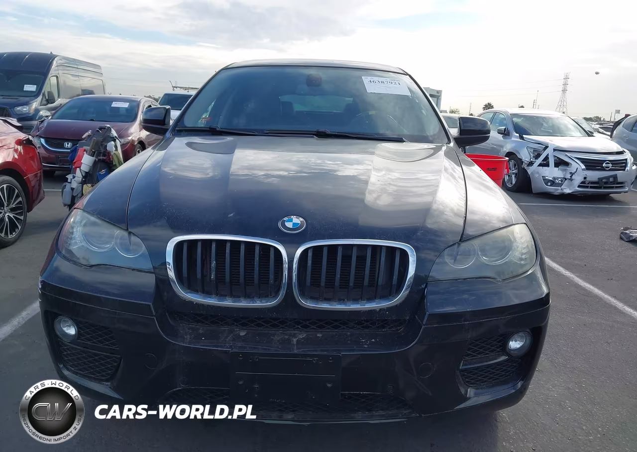 2013 BMW X6 xDrive35I VIN:5UXFG2C59DL786201 - 12