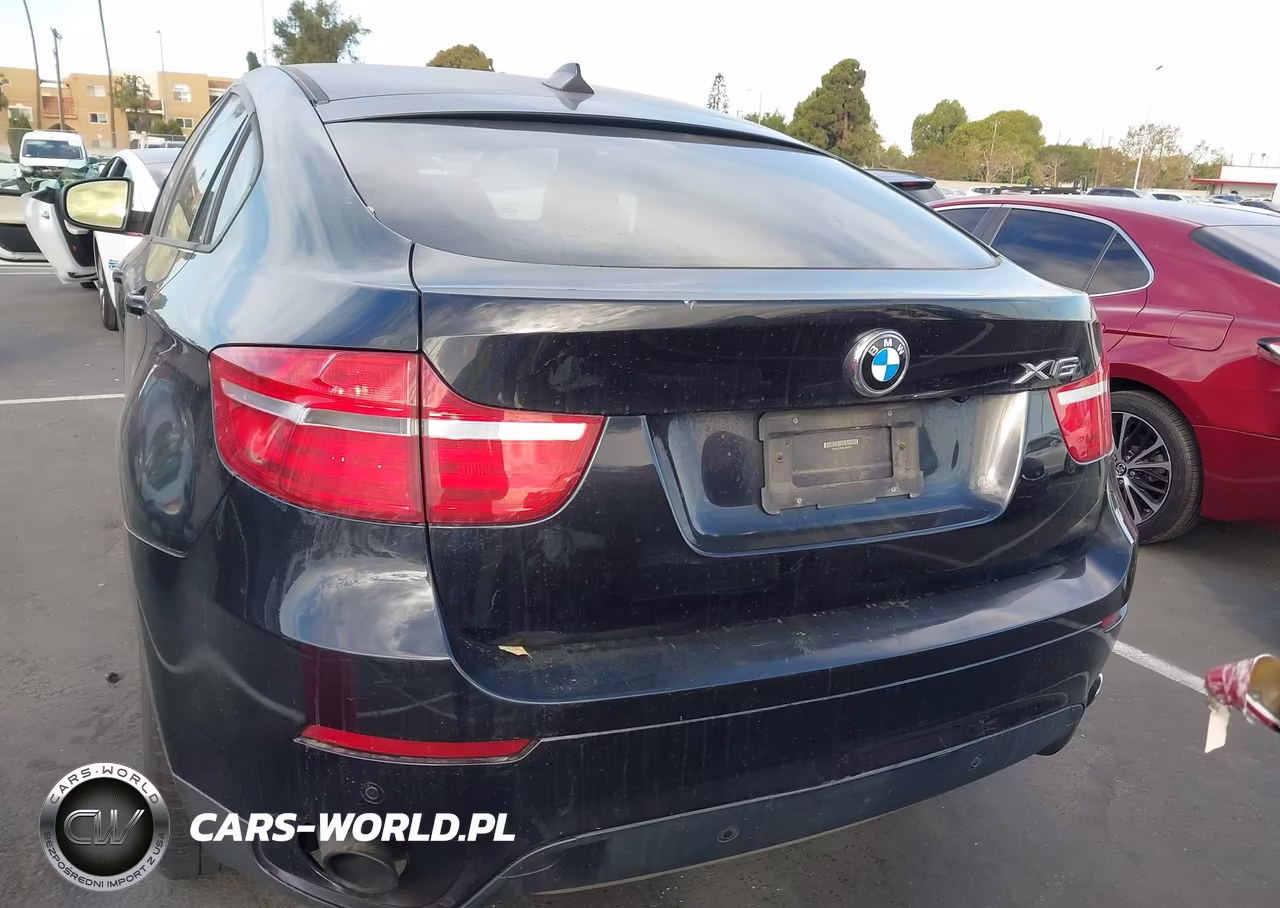 2013 BMW X6 xDrive35I VIN:5UXFG2C59DL786201 - 16