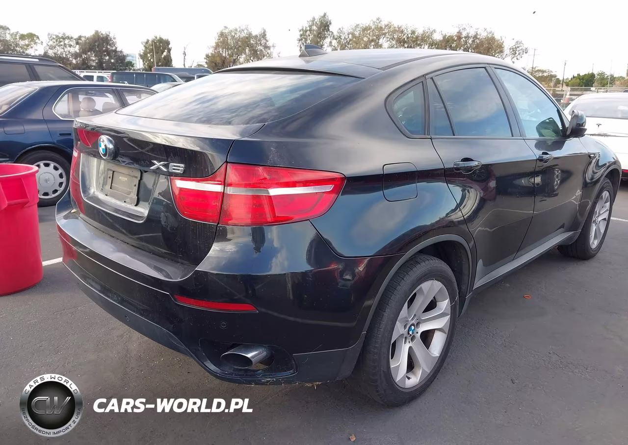 2013 BMW X6 xDrive35I VIN:5UXFG2C59DL786201 - 4