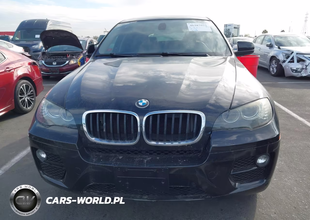 2013 BMW X6 xDrive35I VIN:5UXFG2C59DL786201 - 6