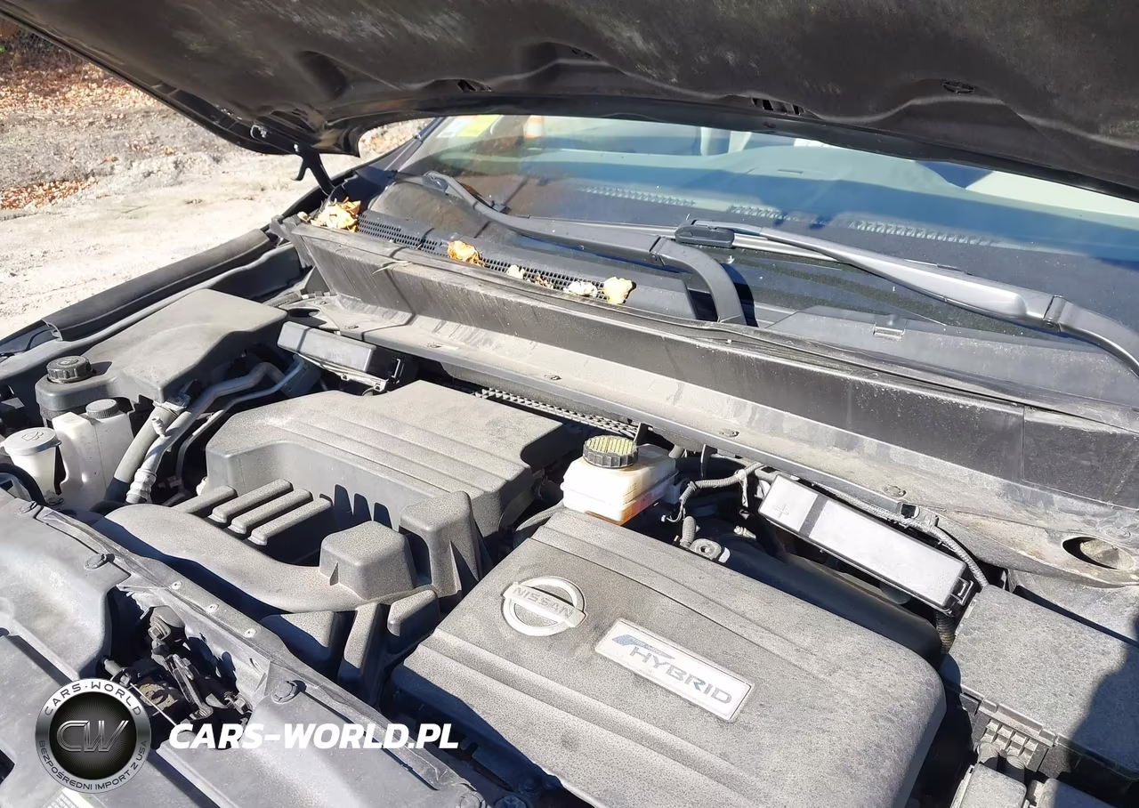 2014 Nissan Pathfinder Hybrid Platinum VIN:5N1CR2MM3EC652883 - 10