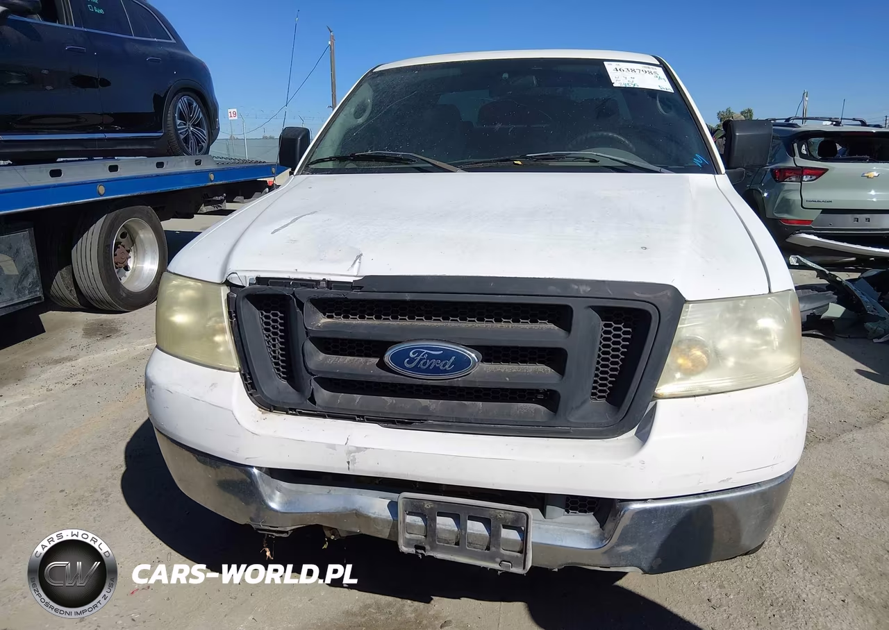 2004 Ford F-150 Stx-Xl-Xlt VIN:1FTRX12WX4NB13604 - 6