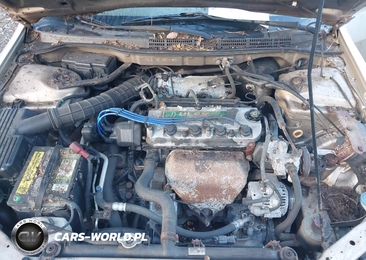 2001 Honda Accord VIN:1HGCG66551A066880 - 10