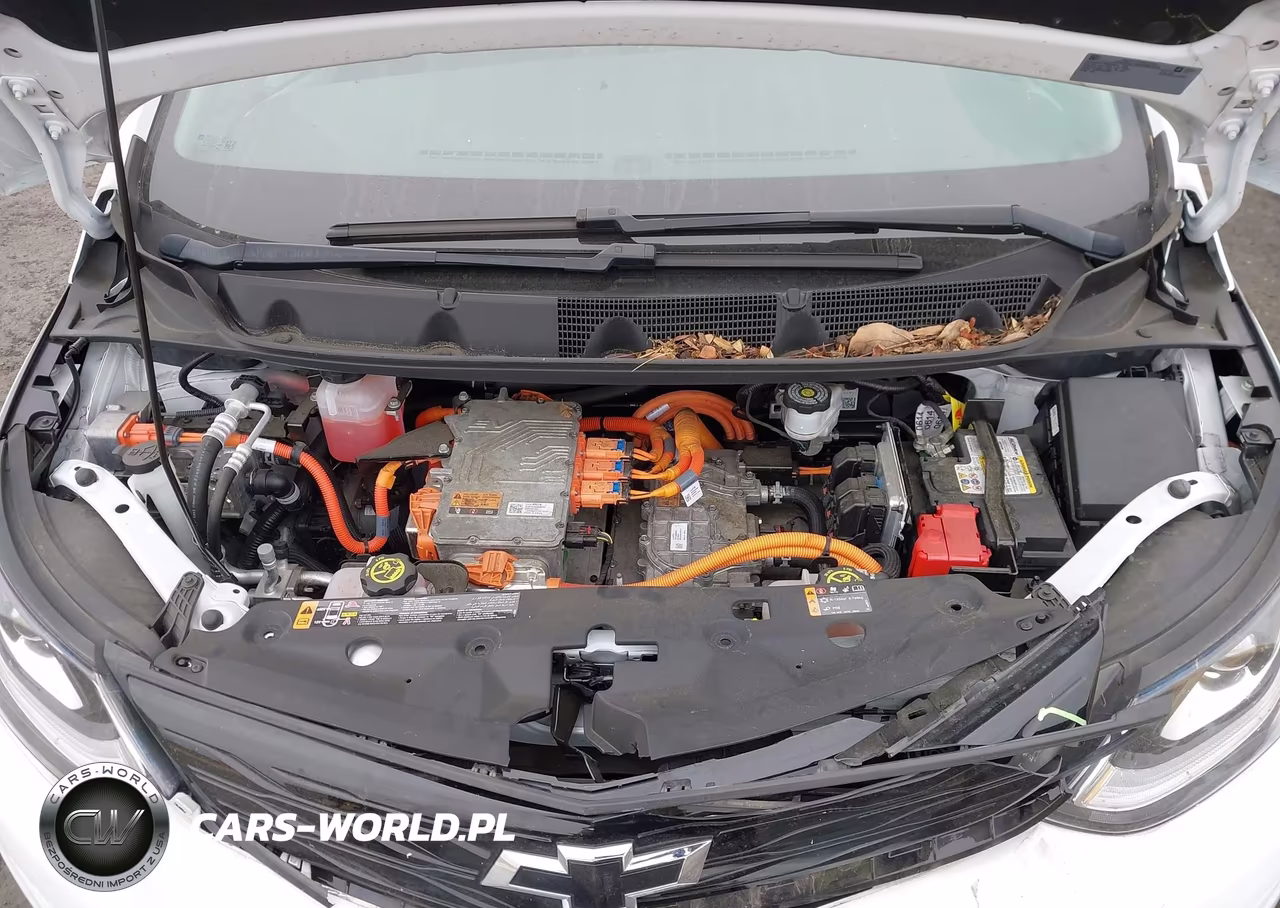 2020 Chevrolet Bolt Ev Fwd Premier VIN:1G1FZ6S03L4149010 - 10