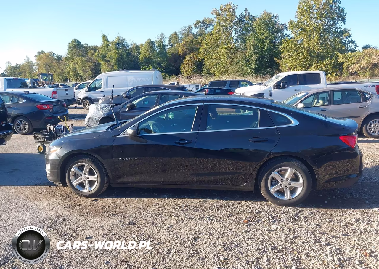 2023 Chevrolet Malibu Fwd 1Fl VIN:1G1ZC5ST1PF250494 - 15