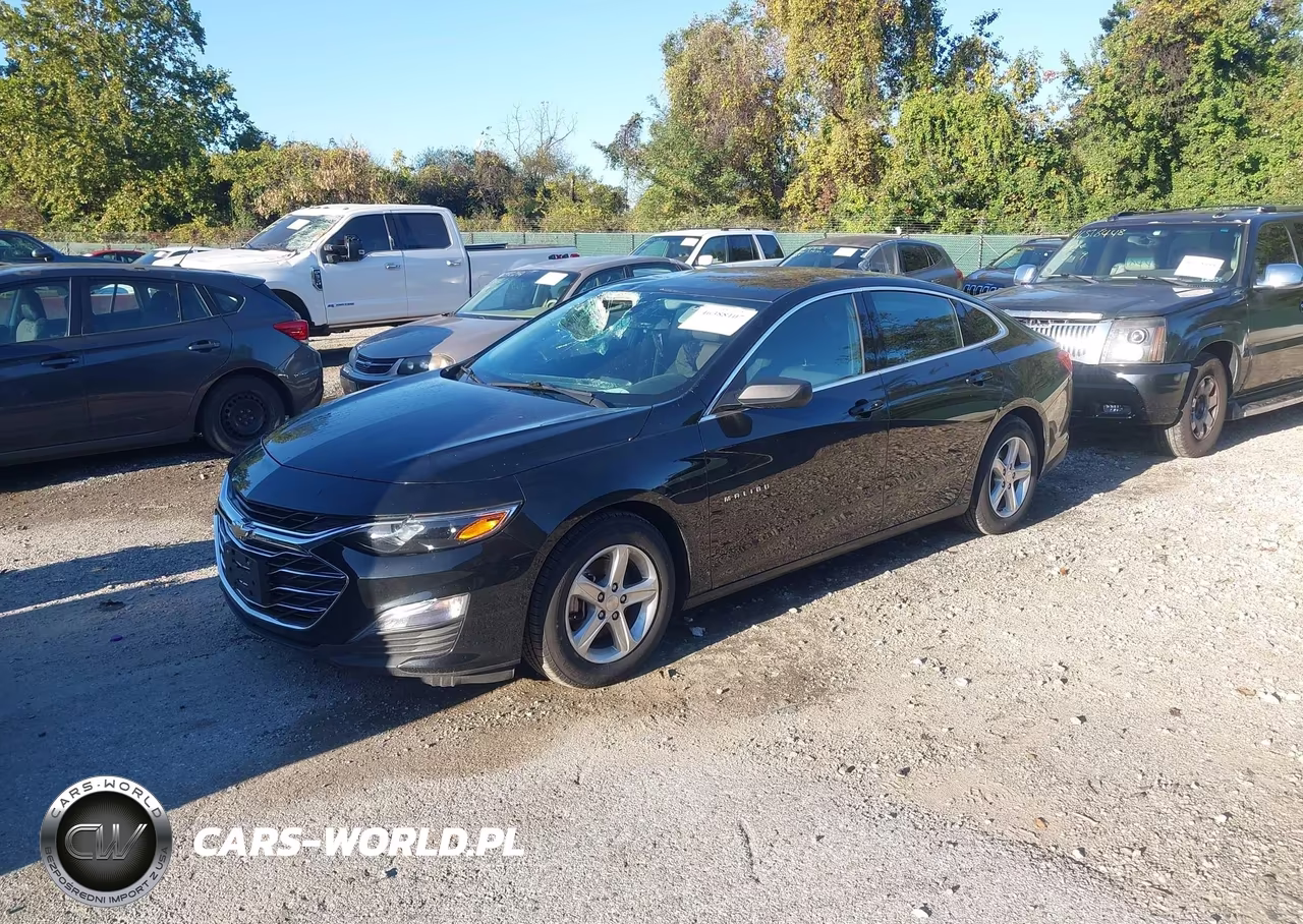 2023 Chevrolet Malibu Fwd 1Fl VIN:1G1ZC5ST1PF250494 - 2