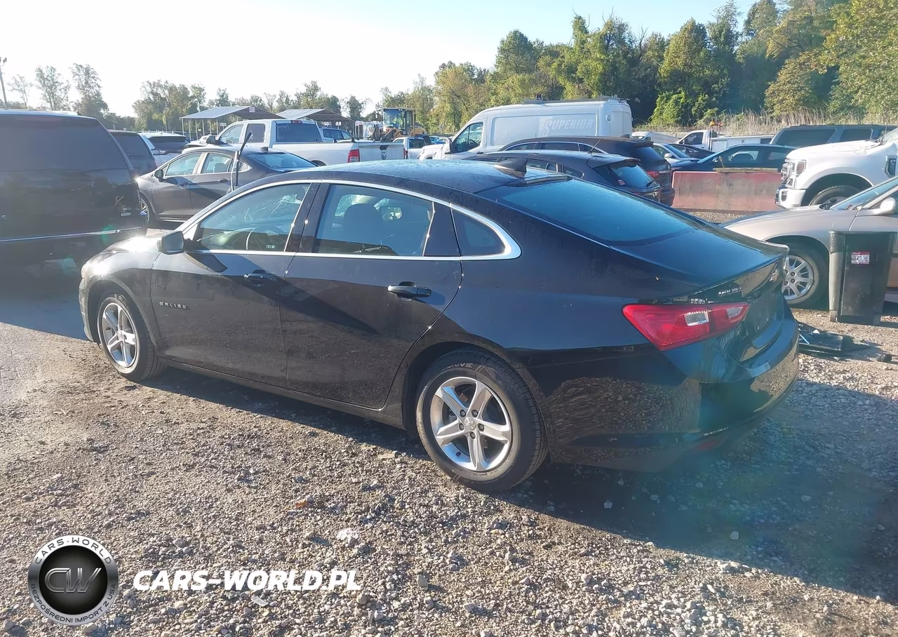 2023 Chevrolet Malibu Fwd 1Fl VIN:1G1ZC5ST1PF250494 - 3