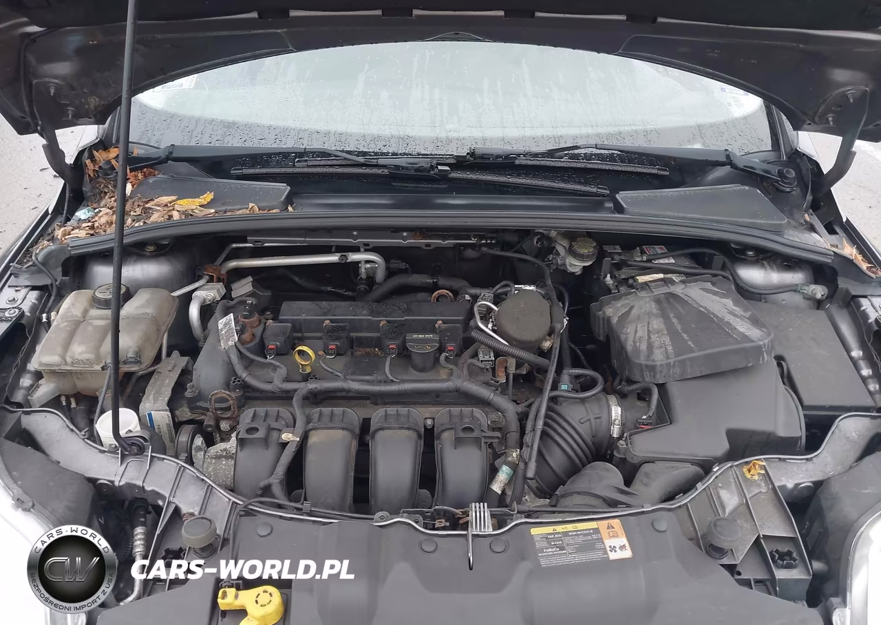 2013 Ford Focus Se VIN:1FADP3K21DL304896 - 10