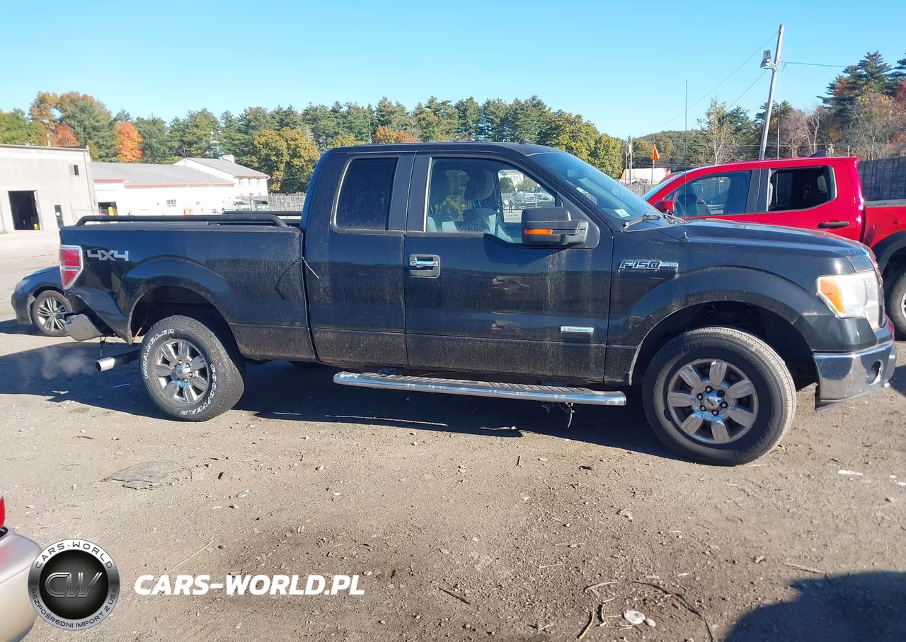 2011 Ford F-150 Xlt VIN:1FTFX1ET2BFA90587 - 13
