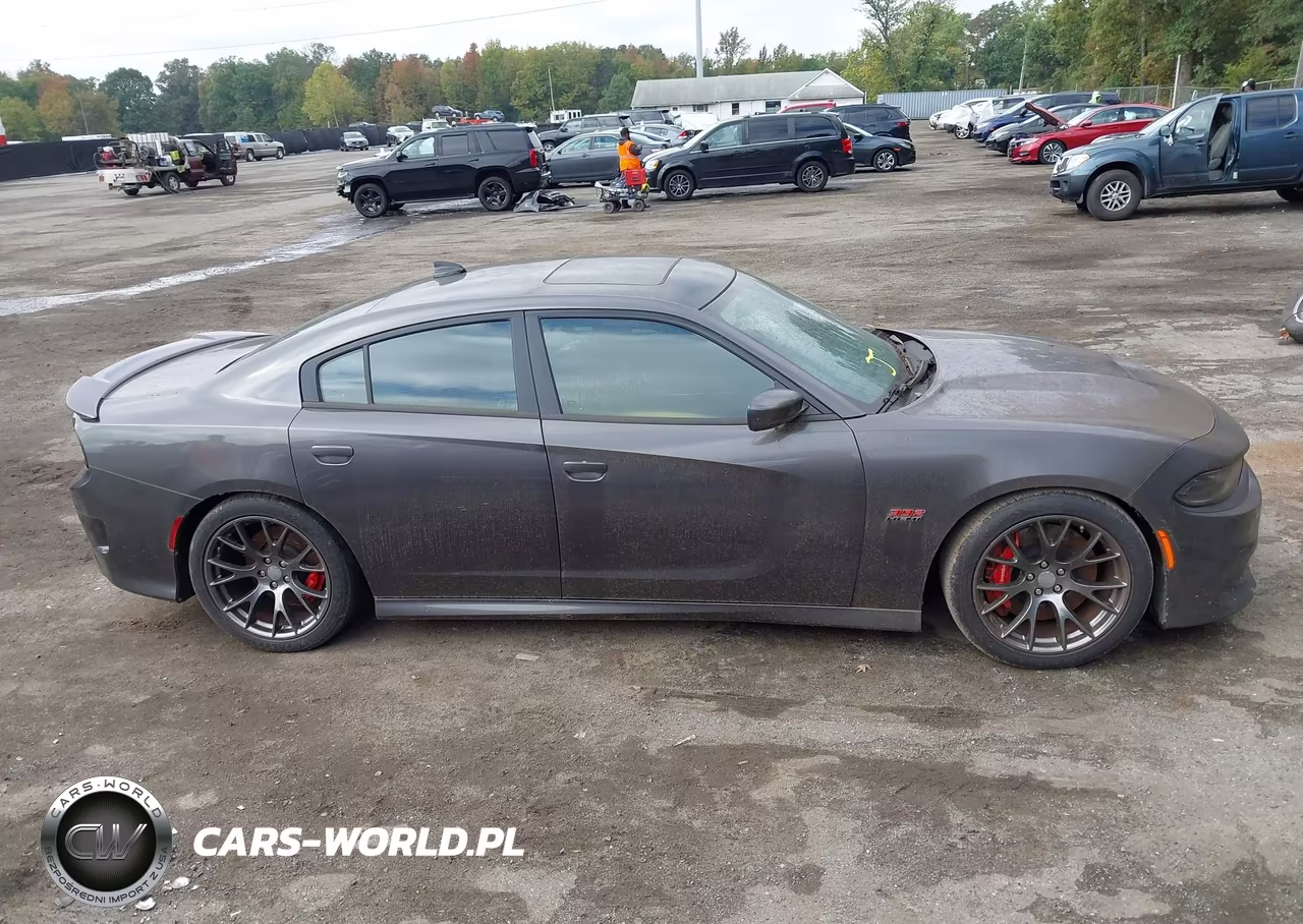 2016 Dodge Charger Srt 392 VIN:2C3CDXEJ1GH318733 - 13