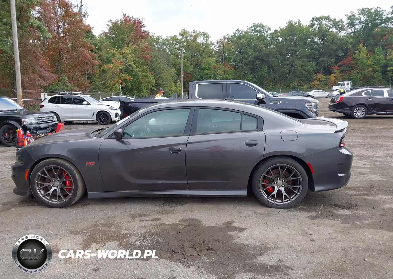 2016 Dodge Charger Srt 392 VIN:2C3CDXEJ1GH318733 - 14