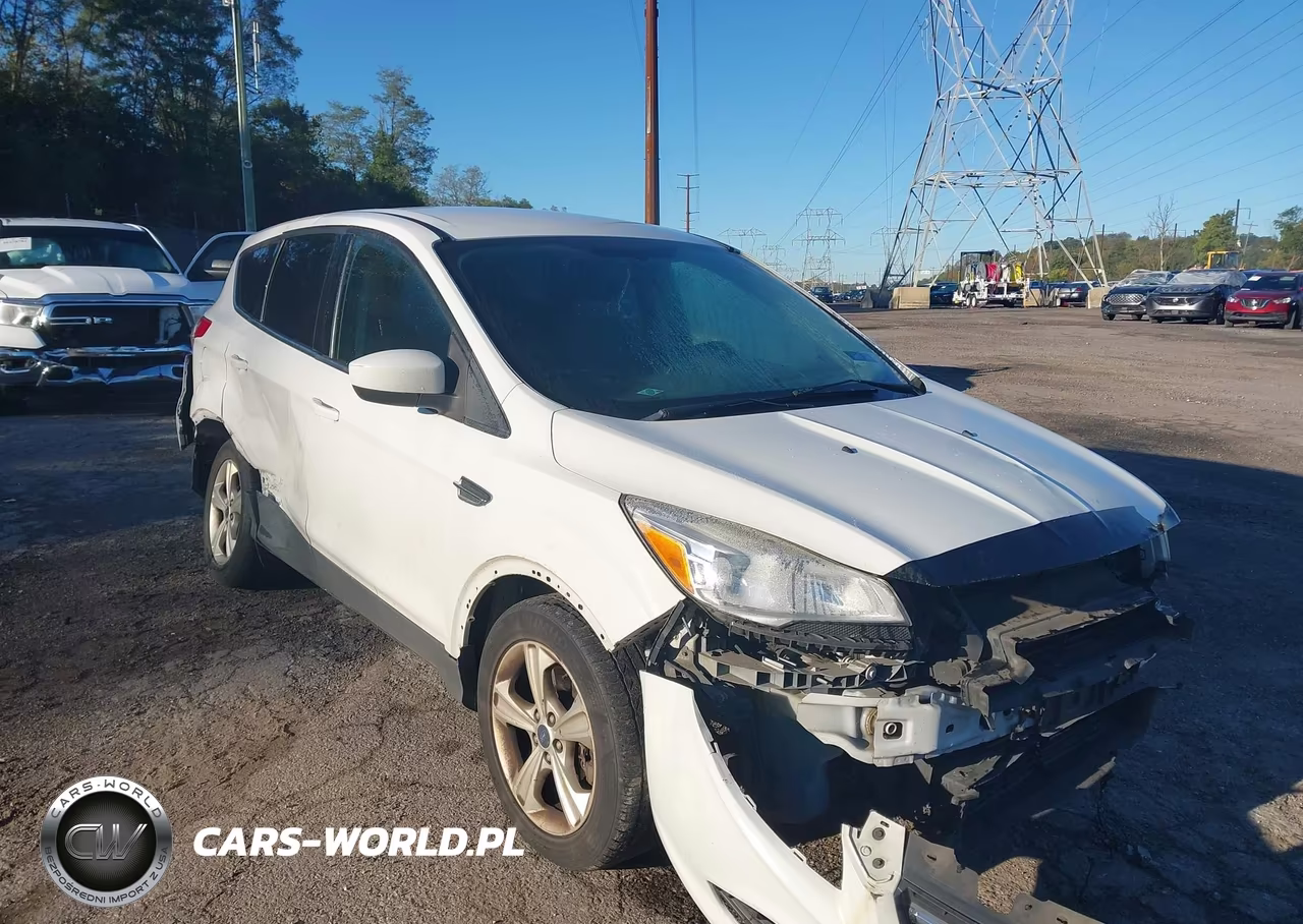 2013 Ford Escape Se