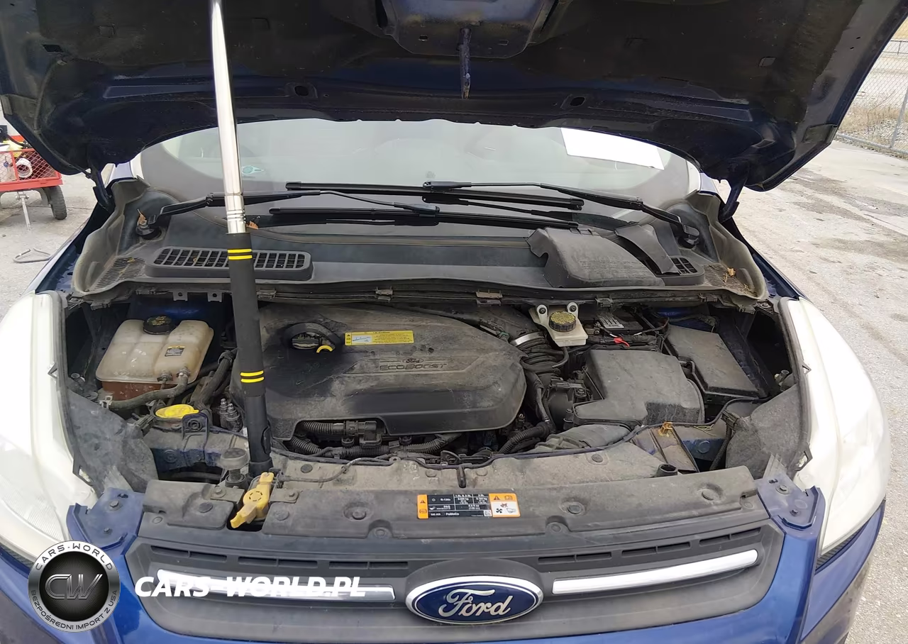 2013 Ford Escape Se VIN:1FMCU0GX7DUD09933 - 10