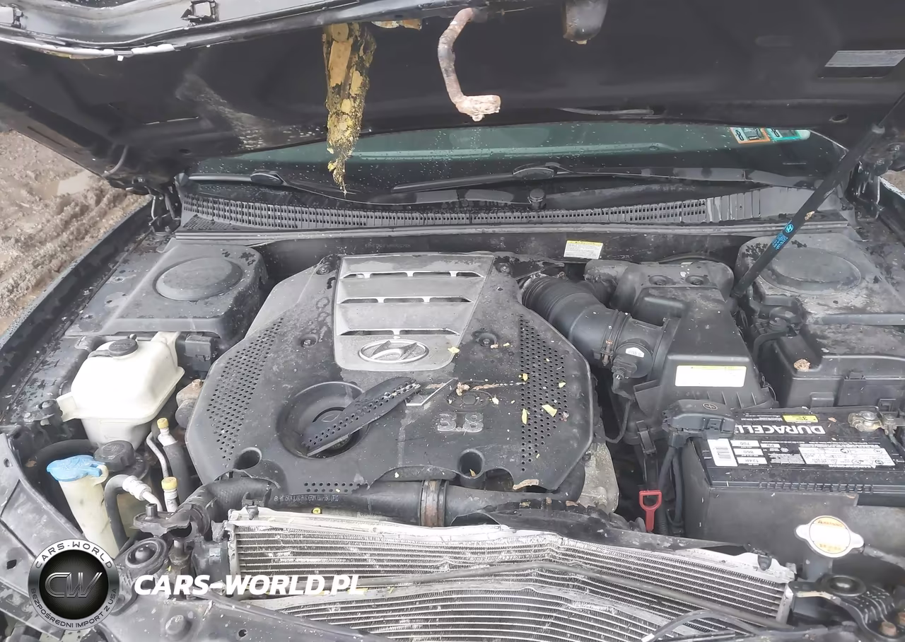 2008 Hyundai Azera Limited VIN:KMHFC46F68A255208 - 10