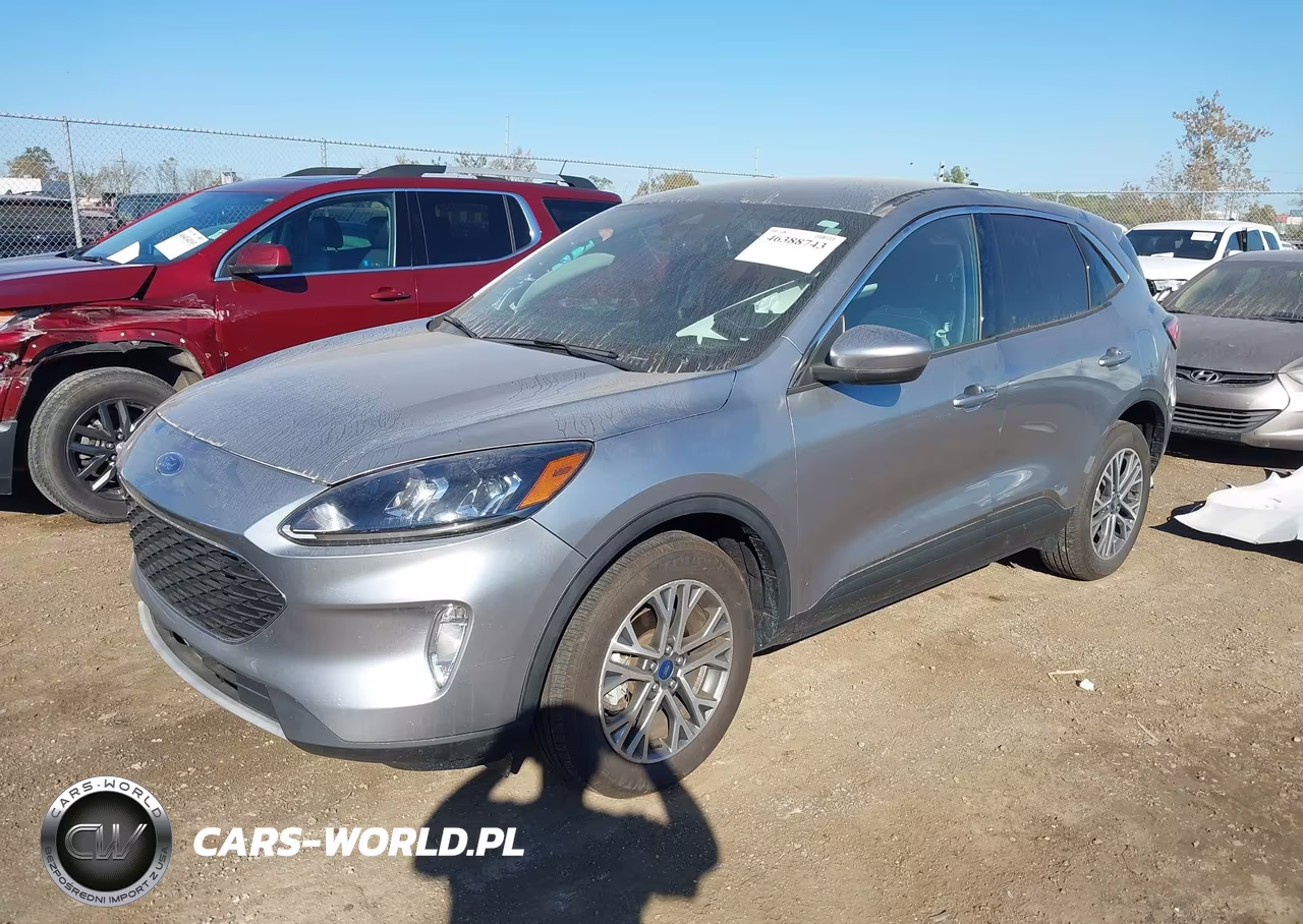 2022 Ford Escape Sel VIN:1FMCU9H66NUA34017 - 2
