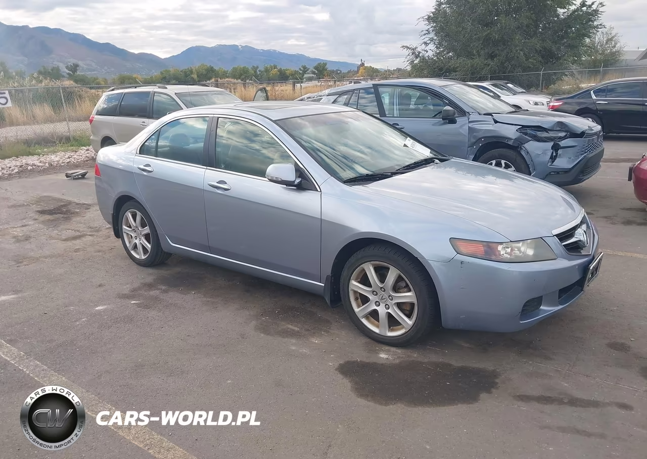 2004 Acura Tsx VIN:JH4CL96804C014330 - 1