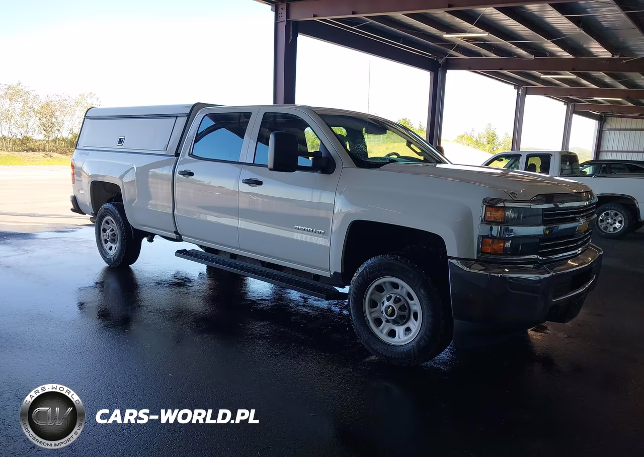 2017 Chevrolet Silverado 3500Hd Wt VIN:1GC4KYCGXHF191809 - 1