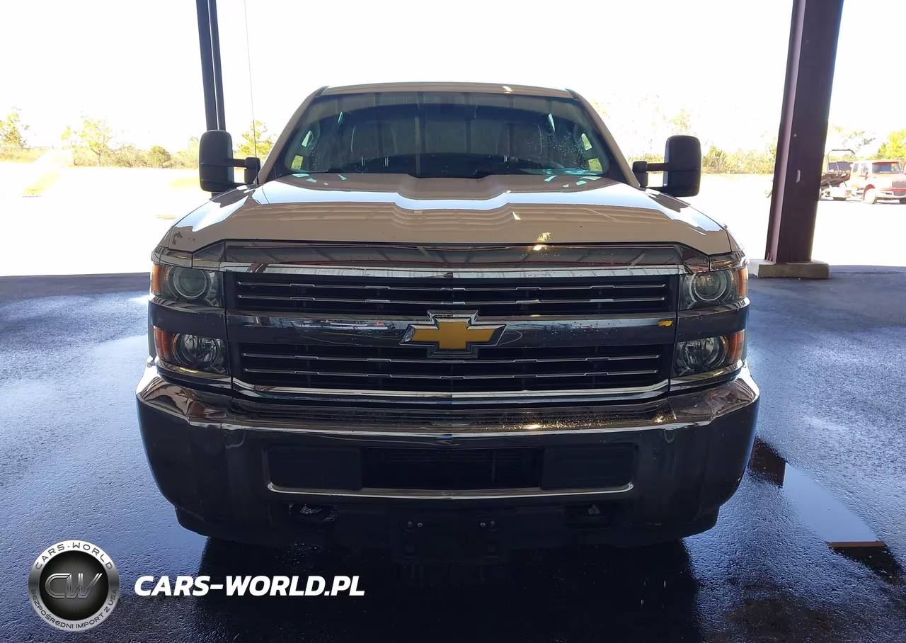 2017 Chevrolet Silverado 3500Hd Wt VIN:1GC4KYCGXHF191809 - 17