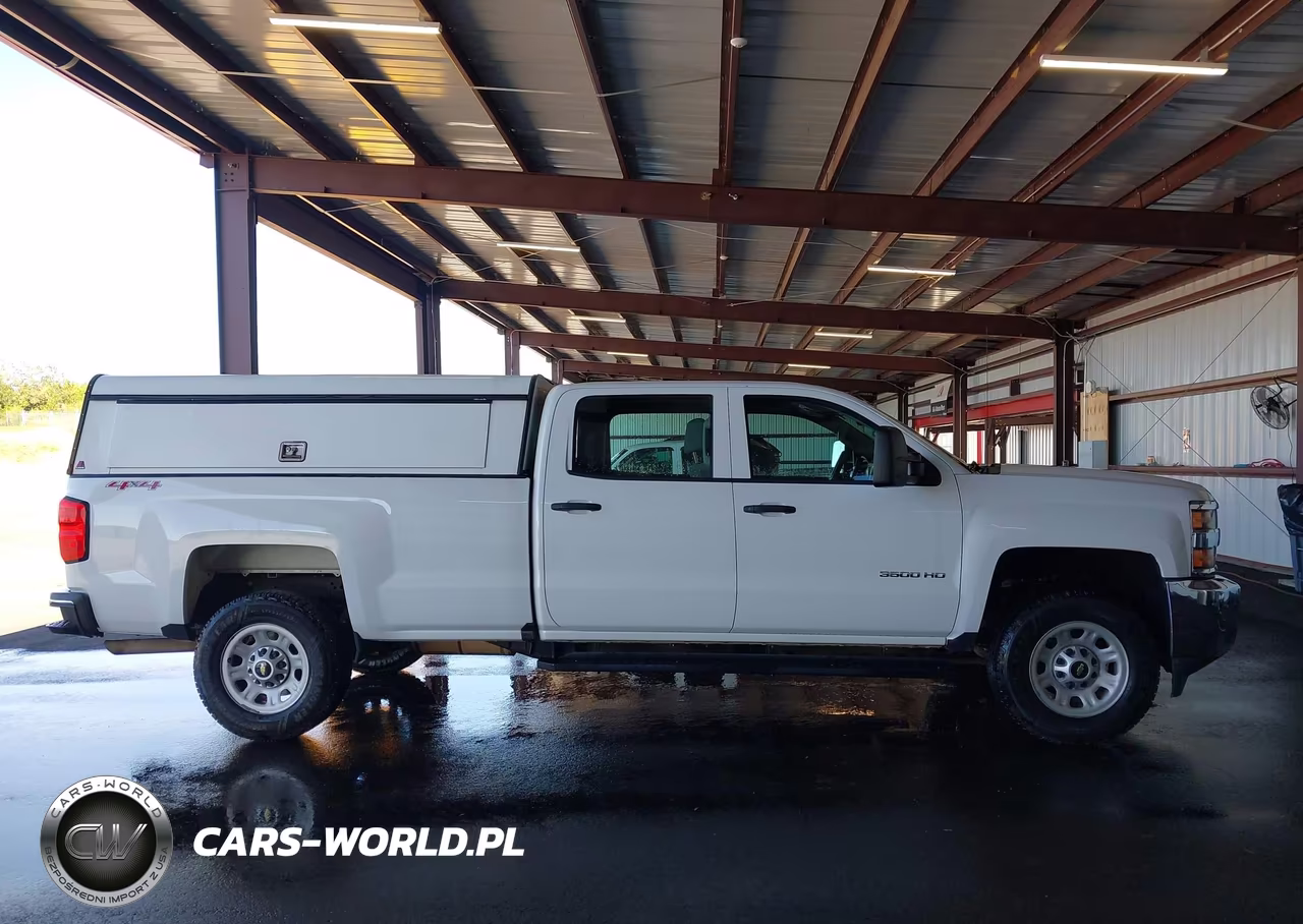 2017 Chevrolet Silverado 3500Hd Wt VIN:1GC4KYCGXHF191809 - 18
