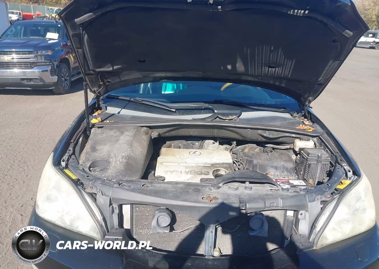 2004 Lexus Rx 330 VIN:2T2HA31U84C006090 - 10